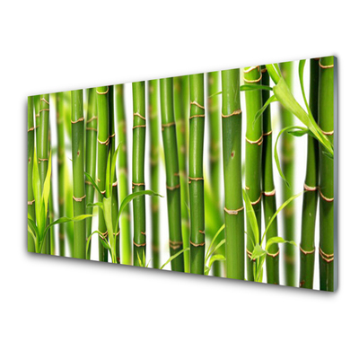 Foto schilderij op glas Bamboo shoots bamboo leaves