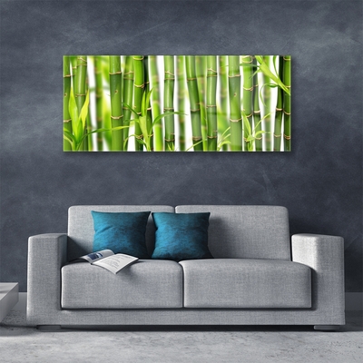 Foto schilderij op glas Bamboo shoots bamboo leaves