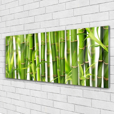 Foto schilderij op glas Bamboo shoots bamboo leaves