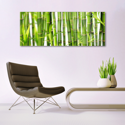 Foto schilderij op glas Bamboo shoots bamboo leaves