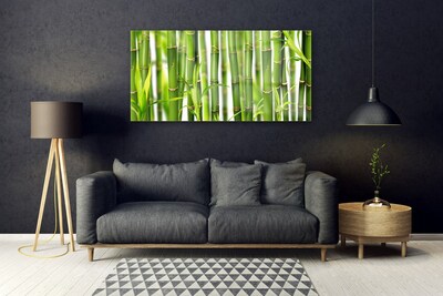 Foto schilderij op glas Bamboo shoots bamboo leaves