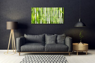 Foto schilderij op glas Bamboo shoots bamboo leaves