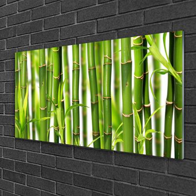 Foto schilderij op glas Bamboo shoots bamboo leaves