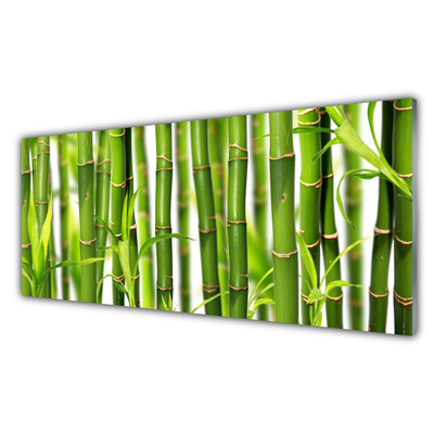 Foto schilderij op glas Bamboo shoots bamboo leaves