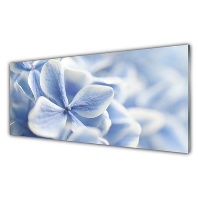 Foto schilderij op glas Petals bloemen nature