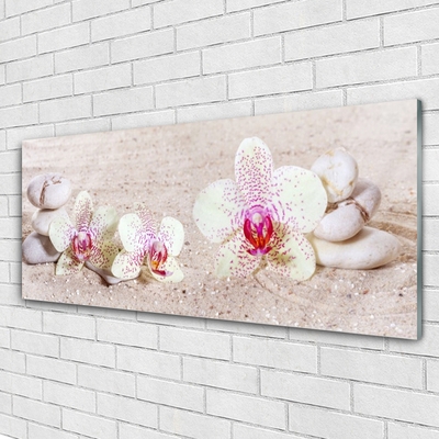 Foto schilderij op glas Orchidee orchidee sand