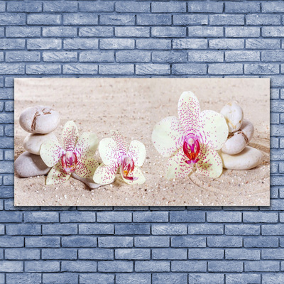 Foto schilderij op glas Orchidee orchidee sand