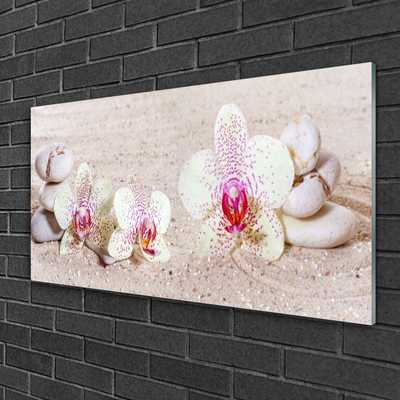 Foto schilderij op glas Orchidee orchidee sand