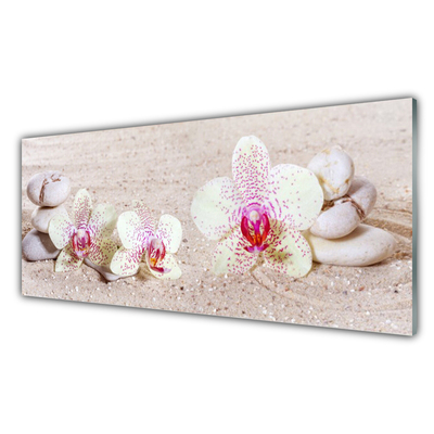 Foto schilderij op glas Orchidee orchidee sand