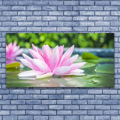 Foto schilderij op glas Vijver van de waterlelie natuur