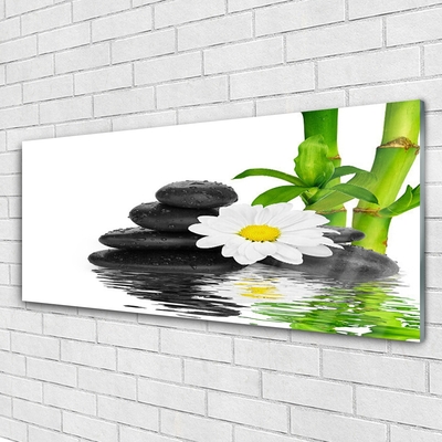 Foto schilderij op glas Stenen zen bamboo shoots