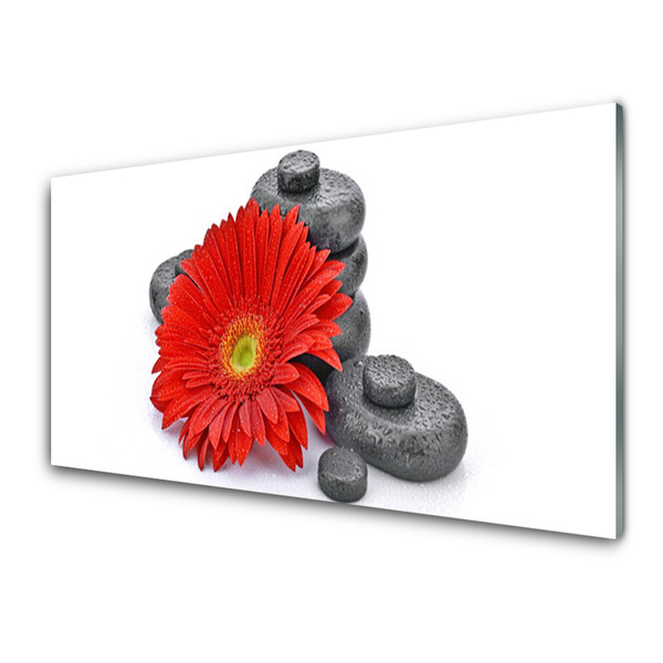 Foto schilderij op glas Rode gerbera bloemen