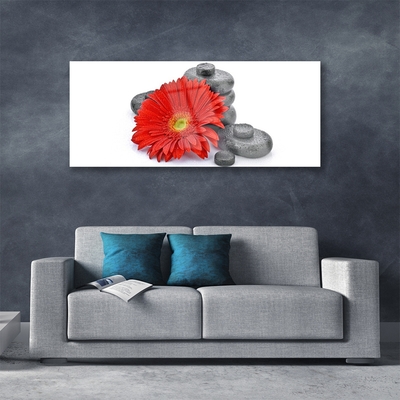 Foto schilderij op glas Rode gerbera bloemen