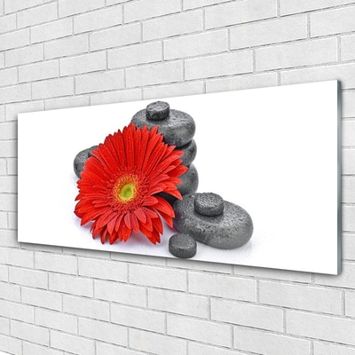 Foto schilderij op glas Rode gerbera bloemen