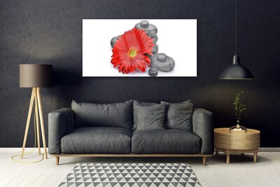 Foto schilderij op glas Rode gerbera bloemen