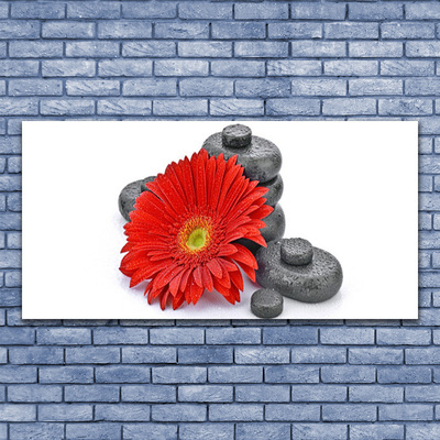 Foto schilderij op glas Rode gerbera bloemen