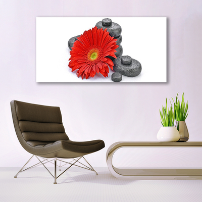 Foto schilderij op glas Rode gerbera bloemen