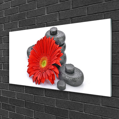 Foto schilderij op glas Rode gerbera bloemen