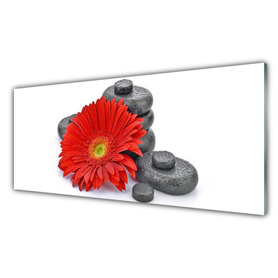 Foto schilderij op glas Rode gerbera bloemen