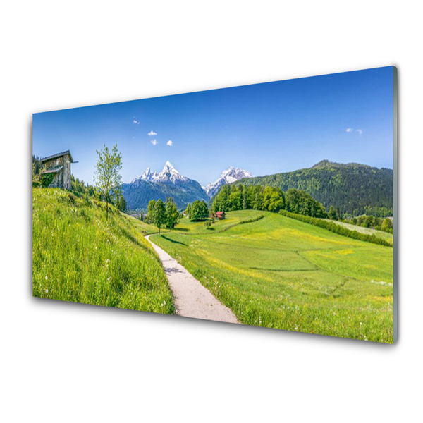 Foto schilderij op glas Mountain meadow path valley