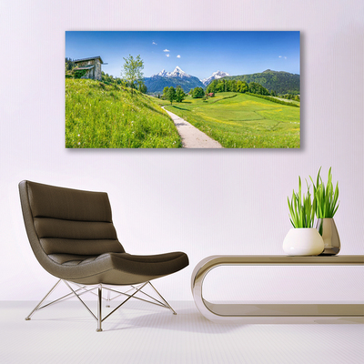 Foto schilderij op glas Mountain meadow path valley