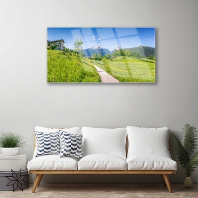 Foto schilderij op glas Mountain meadow path valley