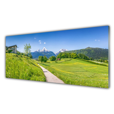 Foto schilderij op glas Mountain meadow path valley