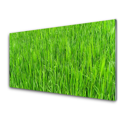 Foto schilderij op glas Nature green grass turf