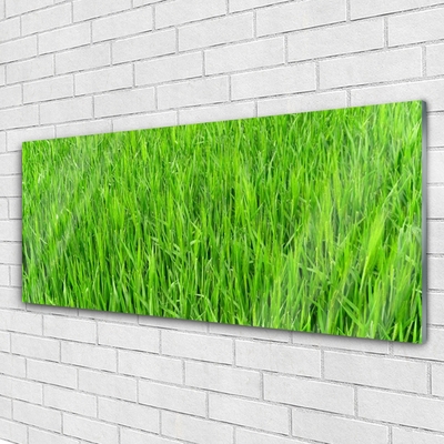 Foto schilderij op glas Nature green grass turf