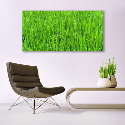 Foto schilderij op glas Nature green grass turf