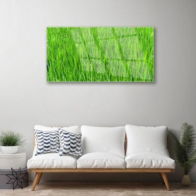 Foto schilderij op glas Nature green grass turf