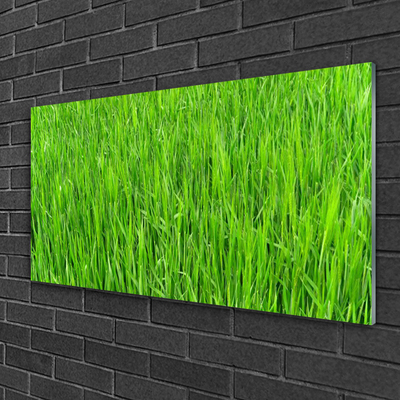 Foto schilderij op glas Nature green grass turf