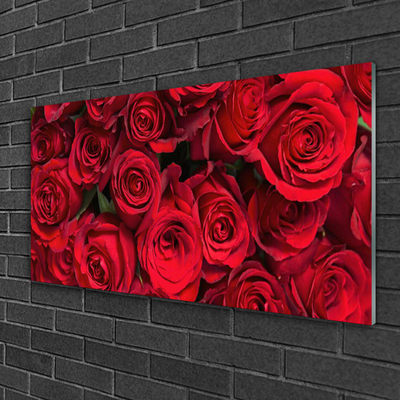 Foto schilderij op glas Rode rozen bloemen nature