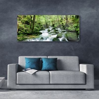 Foto schilderij op glas Bos stroom river falls