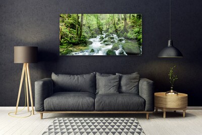 Foto schilderij op glas Bos stroom river falls