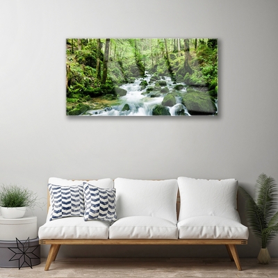 Foto schilderij op glas Bos stroom river falls