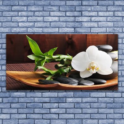 Foto schilderij op glas Bamboo zen white orchid