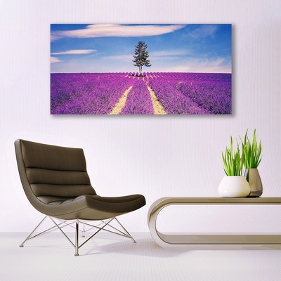 Foto schilderij op glas Gebied van de lavendel weide tree