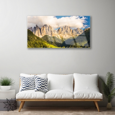 Foto schilderij op glas Toppen bergen wolken forest meadow
