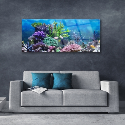 Foto schilderij op glas Aquarium vissen onder water