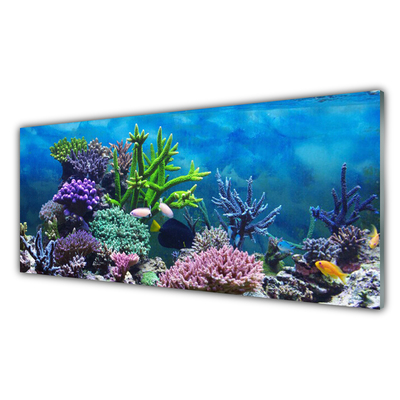 Foto schilderij op glas Aquarium vissen onder water