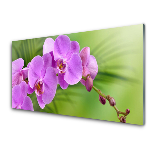 Foto schilderij op glas Orchidee orchidee bloemen