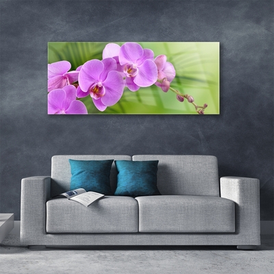 Foto schilderij op glas Orchidee orchidee bloemen