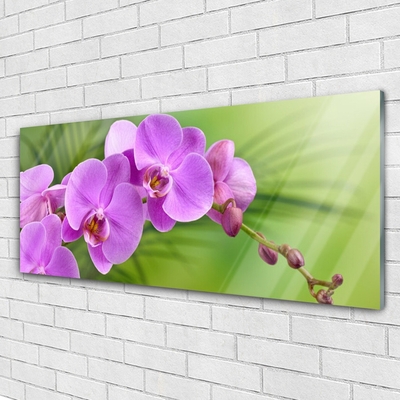 Foto schilderij op glas Orchidee orchidee bloemen