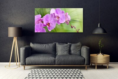 Foto schilderij op glas Orchidee orchidee bloemen