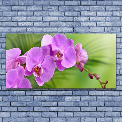 Foto schilderij op glas Orchidee orchidee bloemen