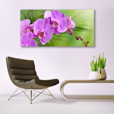 Foto schilderij op glas Orchidee orchidee bloemen