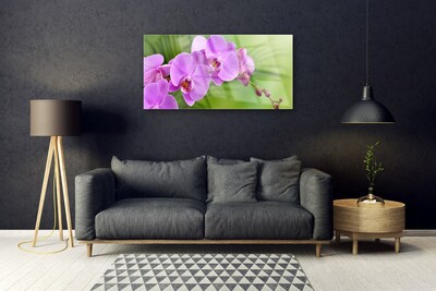 Foto schilderij op glas Orchidee orchidee bloemen