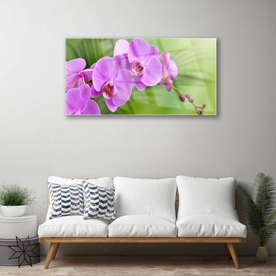 Foto schilderij op glas Orchidee orchidee bloemen