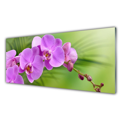 Foto schilderij op glas Orchidee orchidee bloemen